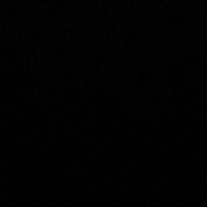 Meet your Posher, Usha